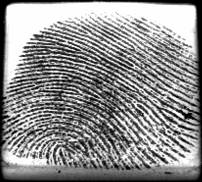 Fingerprint Preview